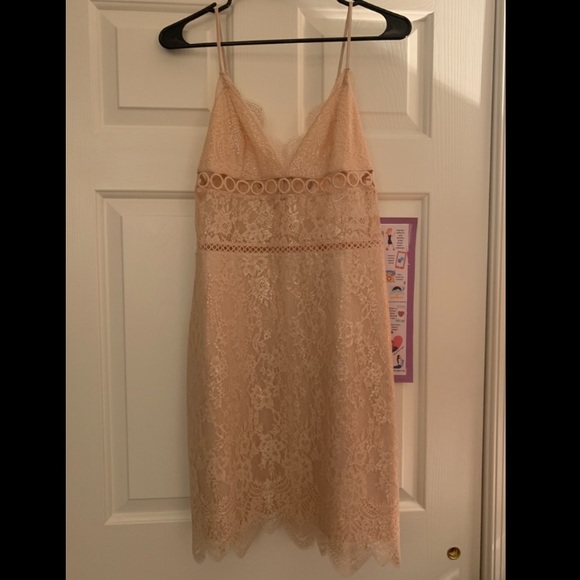 Victoria's Secret Other - Metallic Nude Lace Slip Dress
